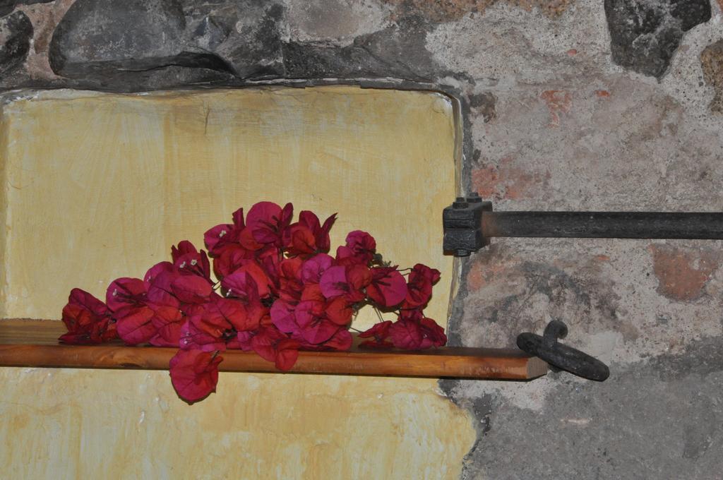 Can Masferrer Riudarenes Luaran gambar